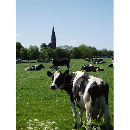 Pit Am Nordseedeich Butjadingen