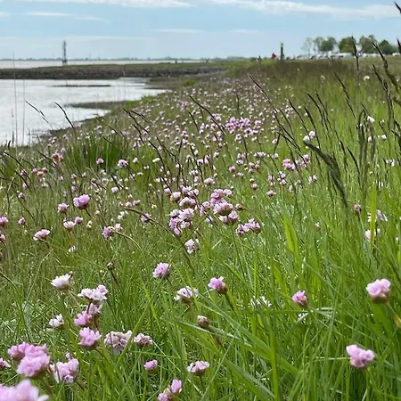 Lägenhet Pit Am Nordseedeich Butjadingen