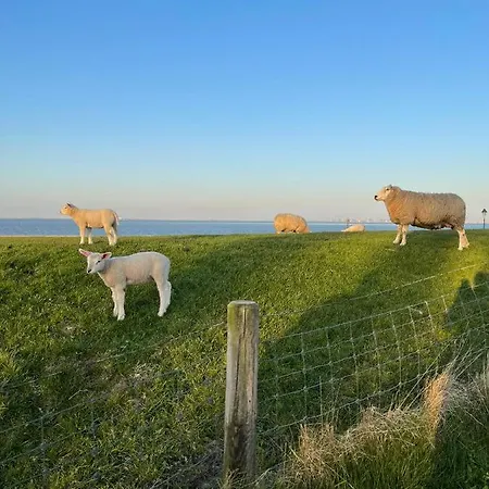 Pit Am Nordseedeich
