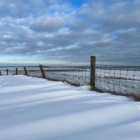 Pit Am Nordseedeich