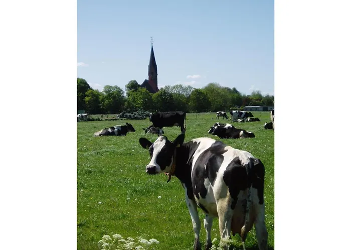 Pit Am Nordseedeich 布特亚丁根