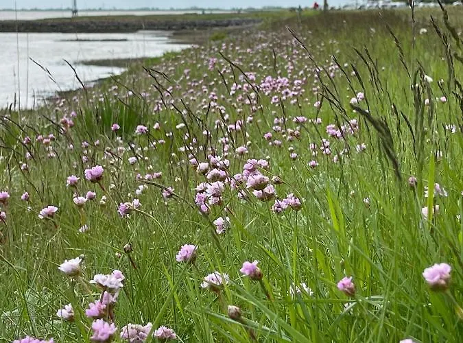 公寓 Pit Am Nordseedeich 布特亚丁根